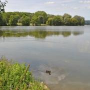 Dijon lac de kir 2012 08 16 4